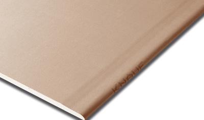 Cover image for PLACA DE YESO KNAUF IMPACT 15mm