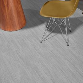 Cover image for Shaw Contract EcoWorx Resilient Dryback (EMEA)
