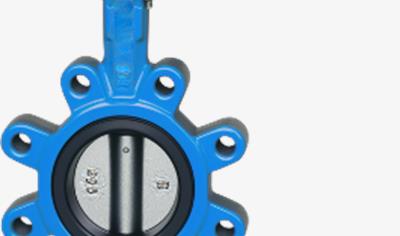 Cover image for Lugged Butterfly Valve DN65