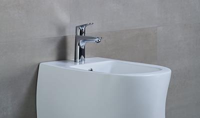 Cover image for Bidet