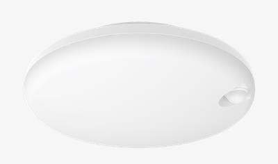 Cover image for Augusta