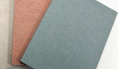 Cover image for Texfel ® Echo 24 acoustic PET panel