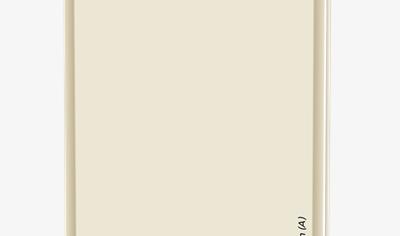 Cover image for Rigips® RB (A) 12,5 mm Standard plasterboard