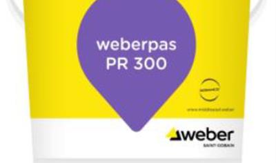 Cover image for Weberpas PR 300