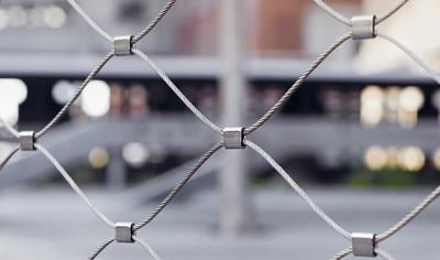 Cover image for Webnet