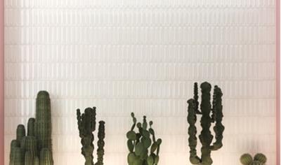 Cover image for American Olean Monterrey, MX – Wall Tile