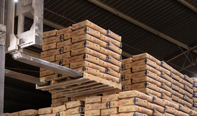 Cover image for EPD for Mortars (2202 Matrix Revestimento Fachada, 2203 Matrix Projeção, 4201 Matrix Contrapiso and 5201 Múltiplo Uso - Cajamar)