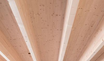 Cover image for Sylva (TM) CLT Rib by Stora Enso