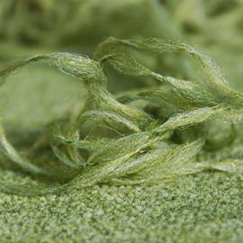 Cover image for EqoCycle recycled content PA6 yarns