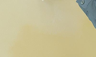 Cover image for Patina