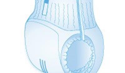 Cover image for MUTANDE ASSORBENTI ELASTICIZZATE 