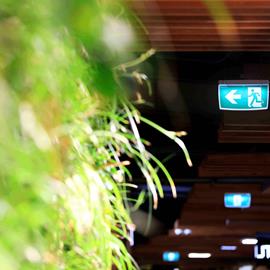 Cover image for Exit lighting