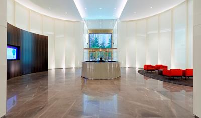 Cover image for Spatulata P80