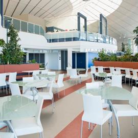 Cover image for Tapiflex heterogeneous vinyl flooring