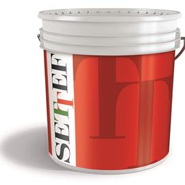 Cover image for Flesscoat Basicquartz