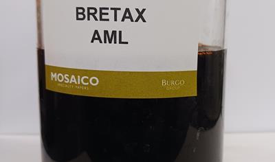 Cover image for Bretax AML