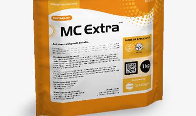 Cover image for MC EXTRA