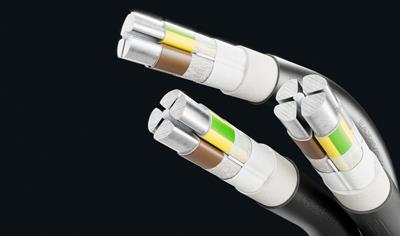 Cover image for XLPE/PVC aluminium energy cable EAXeVB/AH of rated voltage 0,6/1 kV, longitudinally waterproof