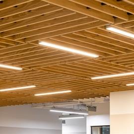Cover image for Shiluvit Hardwood