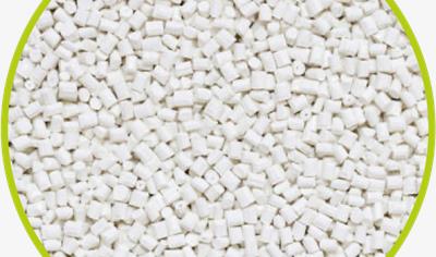 Cover image for Oysterplast