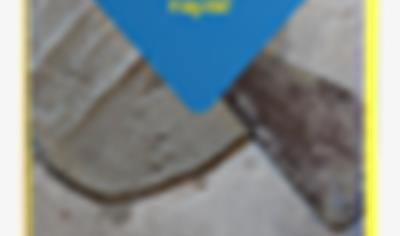 Cover image for webertec rapid