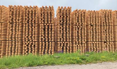 Cover image for Träsliper/Wooden railroad tie