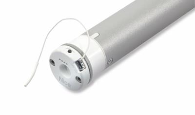 Cover image for ERA INN LION