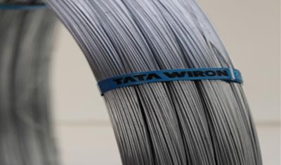 Cover image for Galvanized Wire