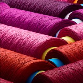 Cover image for ENVIRONMENTAL PRODUCT DECLARATION for ECONYL® BCF TWISTED and HEAT SET YARNS (produced in China)