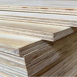 Cover image for Construction Plywood from pine