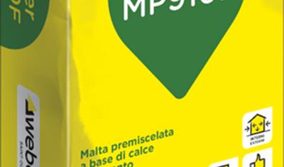 Cover image for Weber MP910F