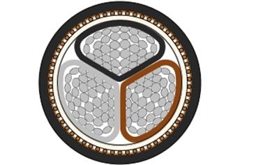 Cover image for Low Voltage Triple Core Power Cable A2XCWY (XLPE/CWS/PVC) 3X150 0.6/1 (1.2) kV 