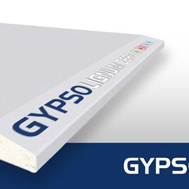 Cover image for GYPSOTECH® GYPSOLIGNUM ZERO TIPO DEFH1I