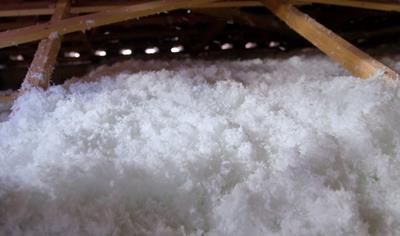 Cover image for MCH G Flocks