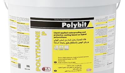 Cover image for Polythane P - UAE