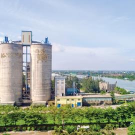 Cover image for Average CEM II/C-M cement from Long An grinding terminal