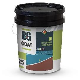 Cover image for BG Coat