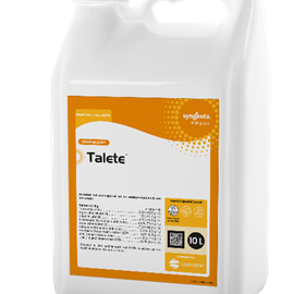 Cover image for TALETE