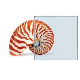 Cover image for Tinted Float Glass