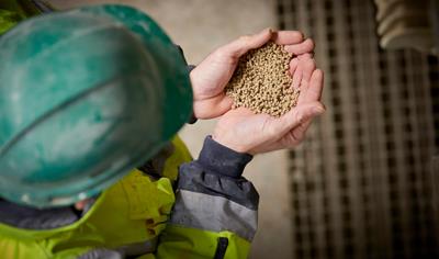 Cover image for Mineral Fertilisers