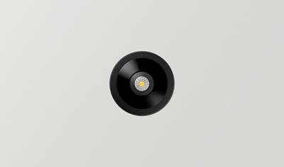Cover image for SHOT LIGHT