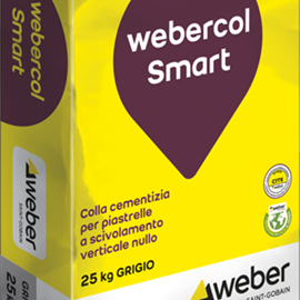 Cover image for Webercol smart grigio