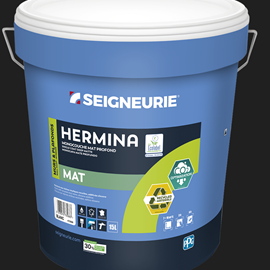 Cover image for HERMINA BC