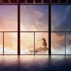 Cover image for Pilkington Mirai™ Annealed Glass