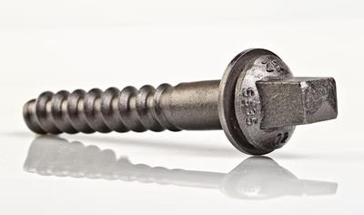 Cover image for Sleeper Screw