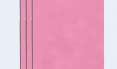 Cover image for ABS Intreme MoldStop FR