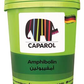Cover image for Amphibolin