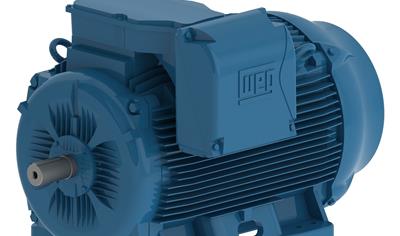 Cover image for W22 Cast Iron Electric Motor (37kW)