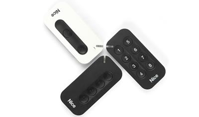 Cover image for MyGo