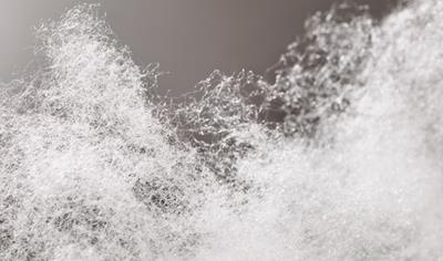 Cover image for Polypropylene staple fibres